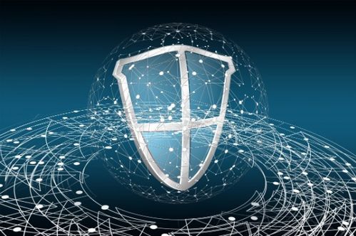 上海希尼亞偌IT服務(wù)外包 如何維護(hù)企業(yè)的數(shù)據(jù)安全與軟件開(kāi)發(fā)